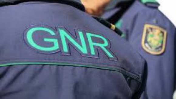 GNR apreende mais de 2.000 medicamentos em drogarias e lojas de animais no Porto