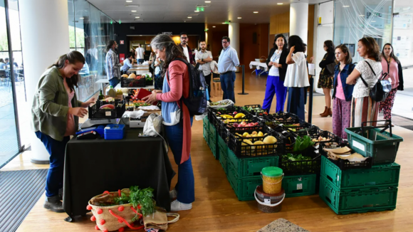 Município do Porto lança projeto alimentar “Good Food HUBs”