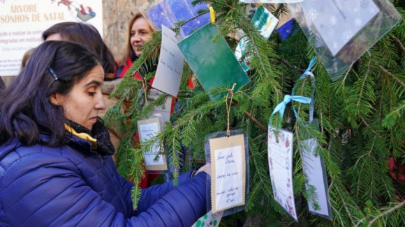 'Árvore dos Sonhos' alegra Natal de utentes de cinco instituições da cidade de Braga 