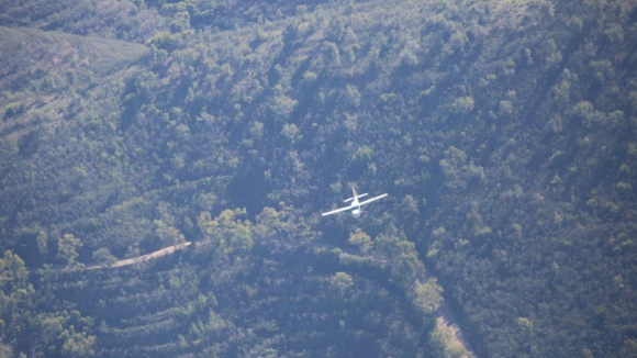 Força Aérea Portuguesa interceta aeronave suspeita com rumo a norte