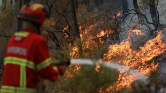 Incêndio florestal em Arouca mobiliza mais de 70 bombeiros
