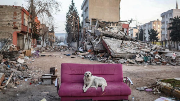 Cerca de um milhão de turcos vive em abrigos temporários devido ao sismo