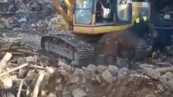 Vídeo mostra cavalo a ser resgatado 21 dias após o sismo na Turquia