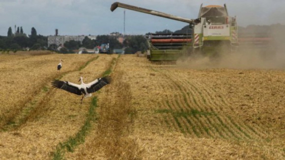 Rússia diz que acordo sobre cereais só vigora por 60 dias e não 120