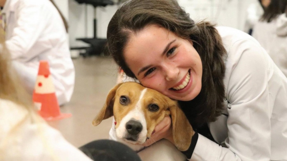 Universidade do Porto procura volunt&aacute;rios para passearem c&atilde;es