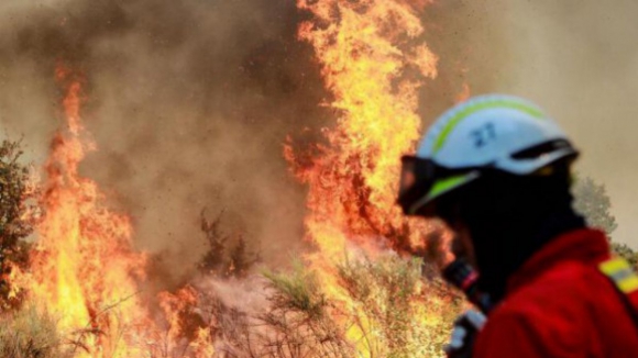 Há 18 concelhos do interior e Algarve em risco muito elevado de incêndio