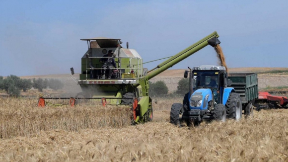 Rússia admite fim do acordo sobre exportação de cereais ucranianos