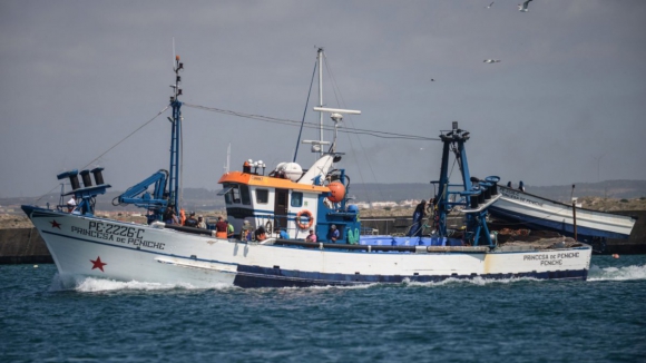 Pesca da sardinha reabre esta terça-feira mas há limites para a descarga e venda