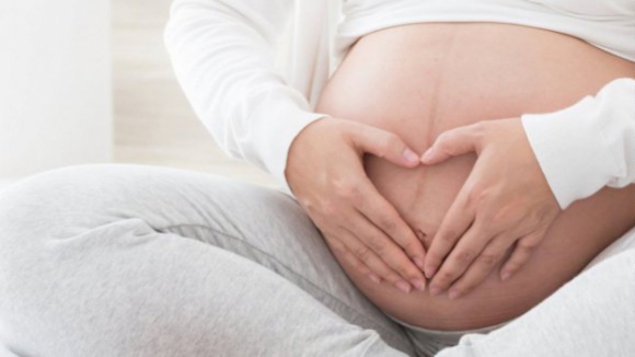Gestação de substituição: bebés poderão vir a ter três pais no registo