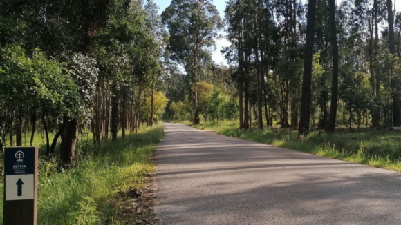 Caminho do Centenário, inaugurado esta quinta, liga Gaia a Fátima e reduz peregrinos nas vias nacionais