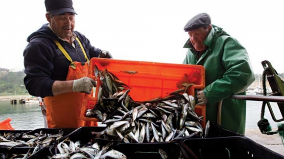 Pescadores de Viana do Castelo pedem suspensão de projeto para eólicas no mar