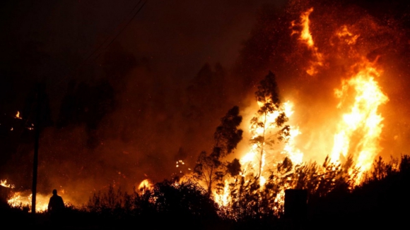 PJ detém suspeito de atear pelo menos oito fogos em Vila Nova de Gaia