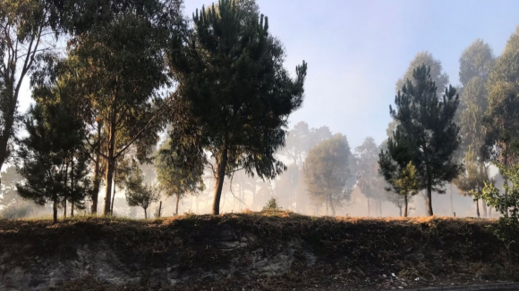 Incêndio em zona de Mato corta avenida em Matosinhos