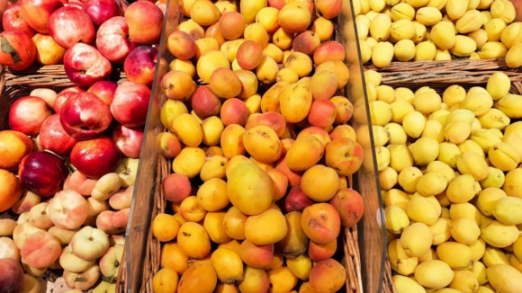 Projeto ‘Frutificar’ quer ensinar 800 crianças de Amarante a gostar de fruta