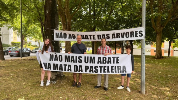 Associação em luta contra o abate de mais de 100 árvores no Porto