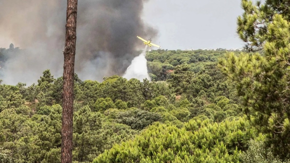 Braga testa sensores detetores de fumo para ataque rápido aos fogos florestais