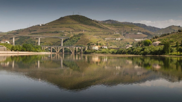 Régua cria uma rede de transportes para colmatar limitações no Dia de Portugal 