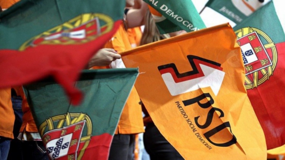 Vice-presidente da bancada do PSD Luís Gomes vai suspender mandato por razões profissionais