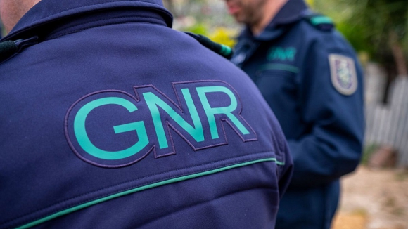 GNR apreendeu várias armas a suspeito de violência doméstica em Estarreja