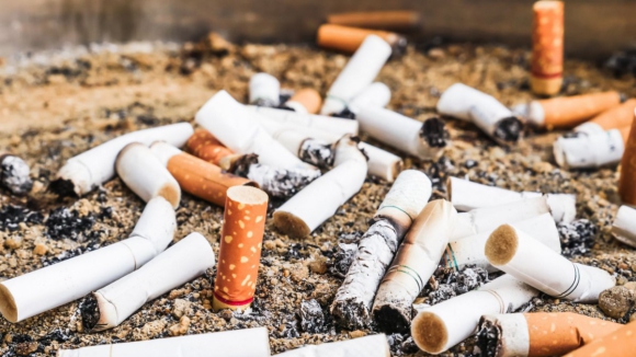 &ldquo;Lei das beatas&rdquo; deu origem apenas a 162 processos e 16 mil euros em multas