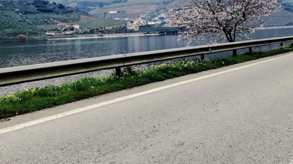 Arrancaram obras na Estrada Nacional 108 em Mes&atilde;o Frio que v&atilde;o custar 1,7 milh&otilde;es de euros