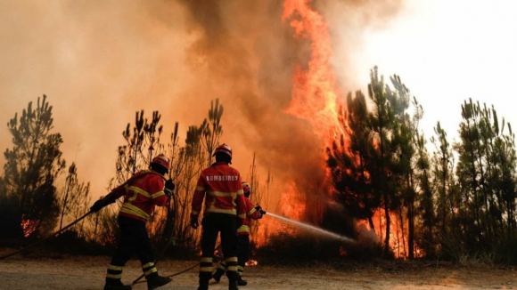Associações alegam que pequena propriedade vai continuar vulnerável a incêndios apesar de apoios