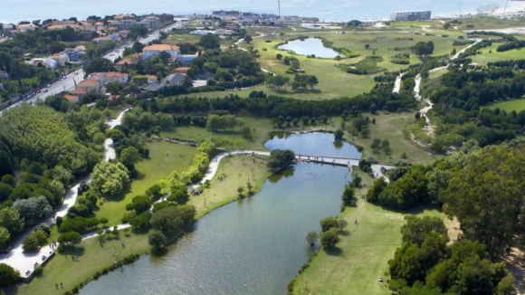 Emissão especial Porto Canal - Missa pré-JMJ no Parque da Cidade