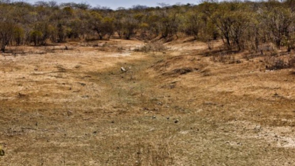 Agricultores falam em “sufoco” na pecuária provocado pela seca e criticam ausência de medidas 