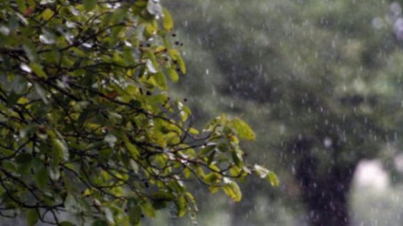 Guarda, Castelo Branco e Bragança com aviso laranja da Proteção Civil devido a chuva e trovoadas