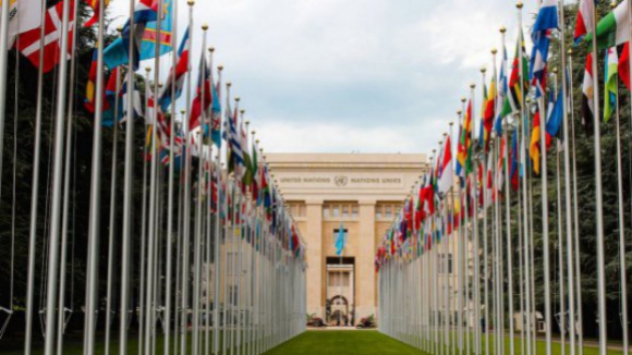 Português como língua oficial da ONU implica "esforço financeiro imenso", diz embaixadora