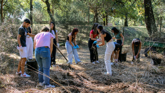Cerca de 150 quilos de planta invasora arrancada à mão por estudantes do Parque do Covelo no Porto