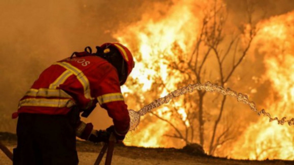 Homem de 64 anos detido por atear incêndio florestal em Vila do Conde 
