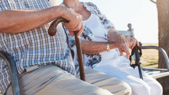 PSD de Matosinhos quer programas para promover um envelhecimento ativo