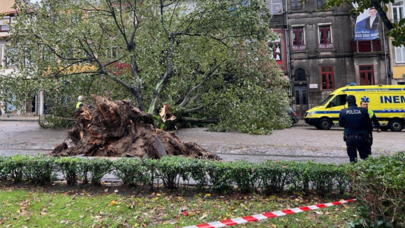 Praça da República reaberta ao trânsito após queda de árvore