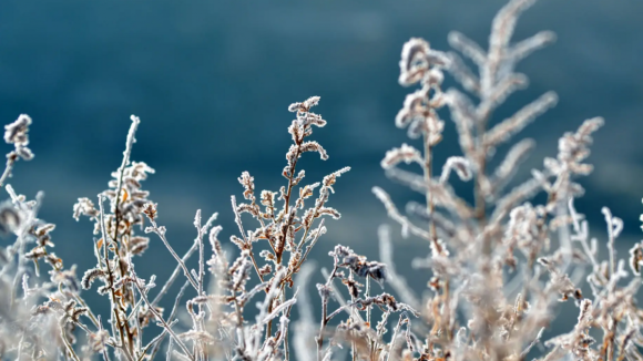 Já caem os primeiros flocos de neve na serra do Marão 