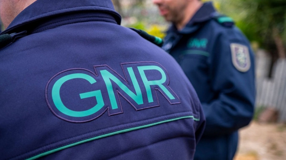 Jovem detido por roubo em estabelecimento comercial da Trofa