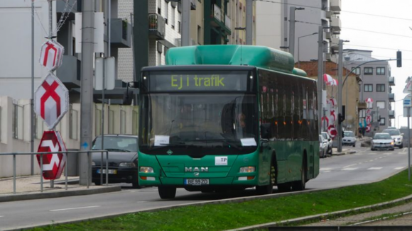 UNIR. Alguns motoristas "não estão minimamente preparados", reconhece diretor dos Transportes Beira Douro
