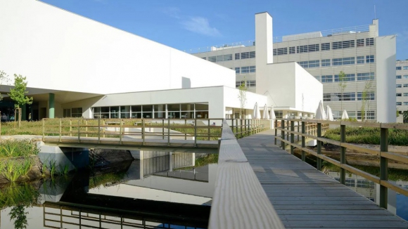 Porto Business School e Faculdade de Economia da Universidade do Porto entre as melhores escolas de negócios da Europa