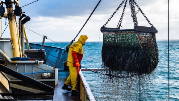 Ministros das Pescas fecham acordo para capturas em 2024 após maratona negocial