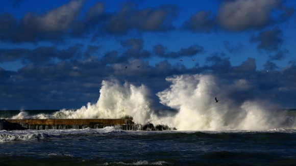 Cidades russas do Extremo Oriente em alerta para possível tsunami depois de sismo no Japão