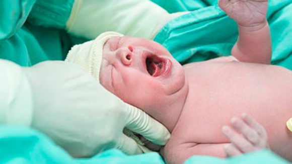 Urgências de ginecologia e obstetrícia. SNS divulga quais vão estar abertas até março