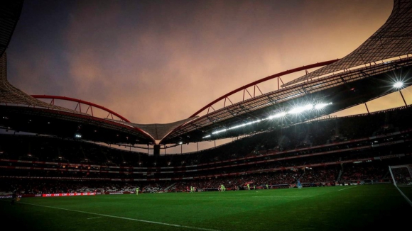 Gil Carvalho: “Estamos sempre a falar do universo do Benfica em termos de corrupção”