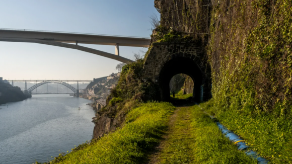Câmara do Porto prefere transporte com pneus ao invés da ferrovia no ramal da Alfândega