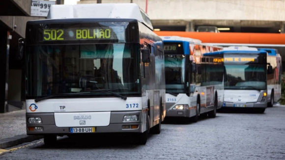 STCP prepara reforço de linhas em Aldoar com chegada do metrobus à Avenida da Boavista