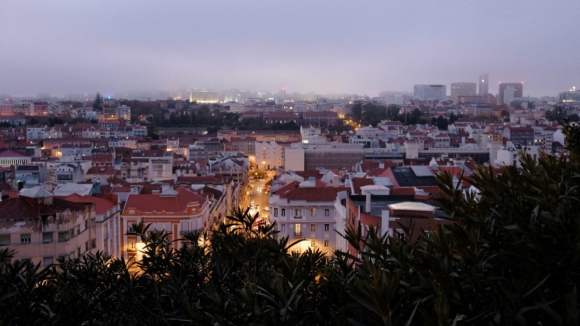 Cheira mal, cheira a Lisboa. O que está a provocar o mau cheiro na capital?