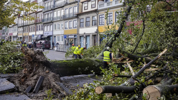 Mau tempo no Porto faz cair árvores e estruturas metálicas