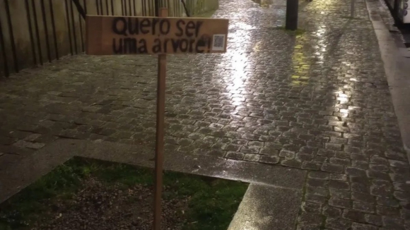 Há tabuletas espalhadas no Porto a pedir mais árvores