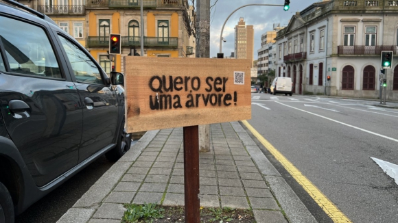 Há um movimento no Porto que reclama mais árvores nas caldeiras vazias da cidade