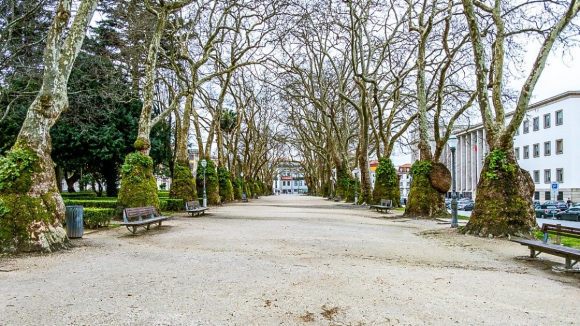 Câmara do Porto volta a lançar concurso para reabilitação do Jardim da Cordoaria