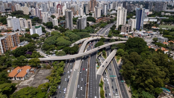 São Paulo regista recorde de ataques de escorpiões